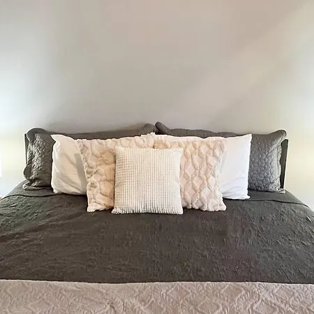 Studio Apt In Plaza Midwood- Fast Wifi-King Bed Charlotte Exterior photo