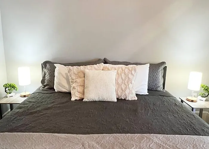 Studio Apt In Plaza Midwood- Fast Wifi-King Bed